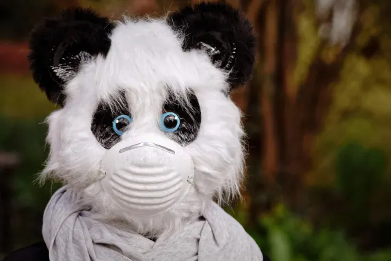 BigAzart Casino Assistance